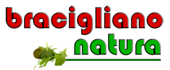 Immagine-contatto